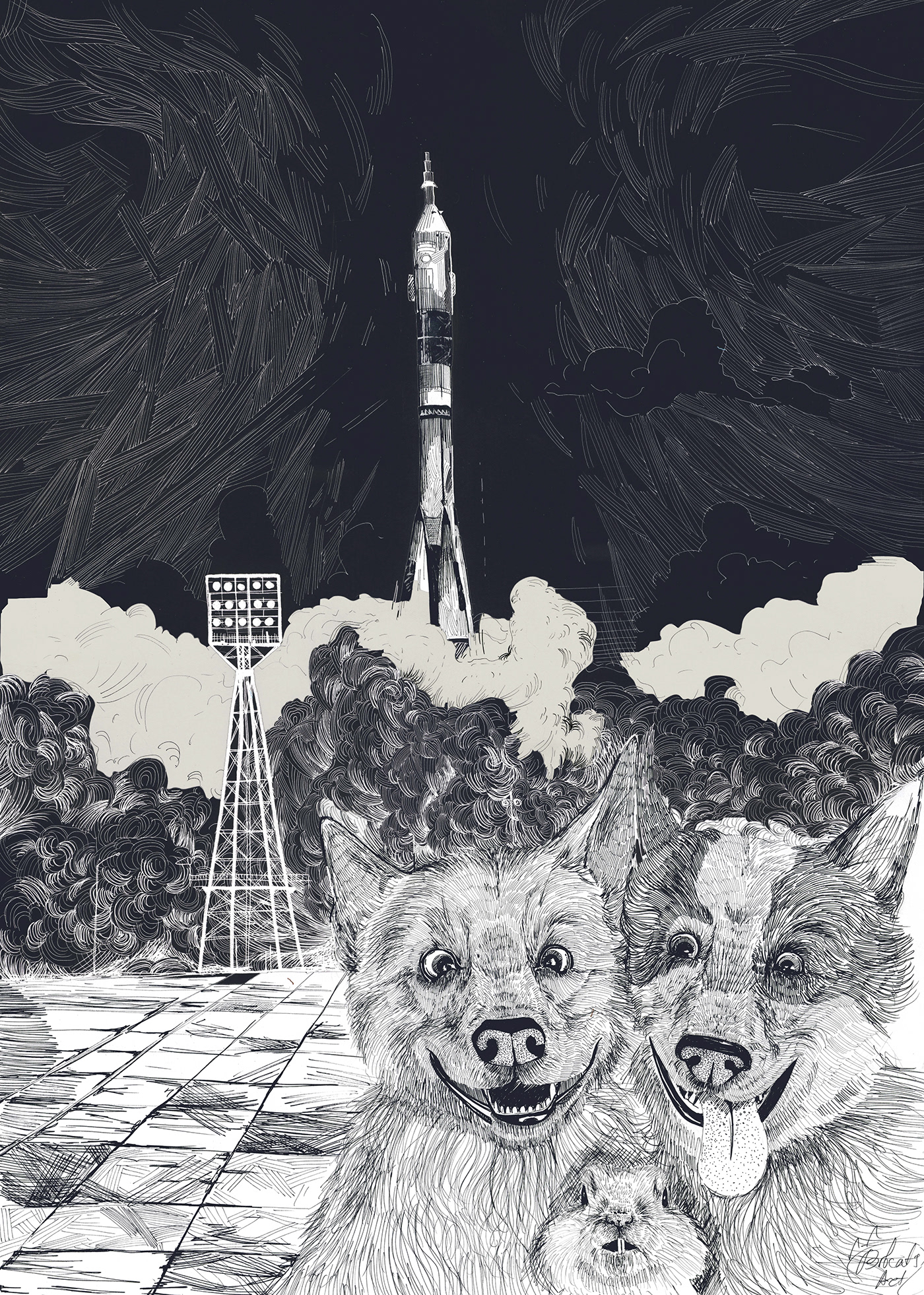 Belka and STRELKA Secrets of the Cosmos