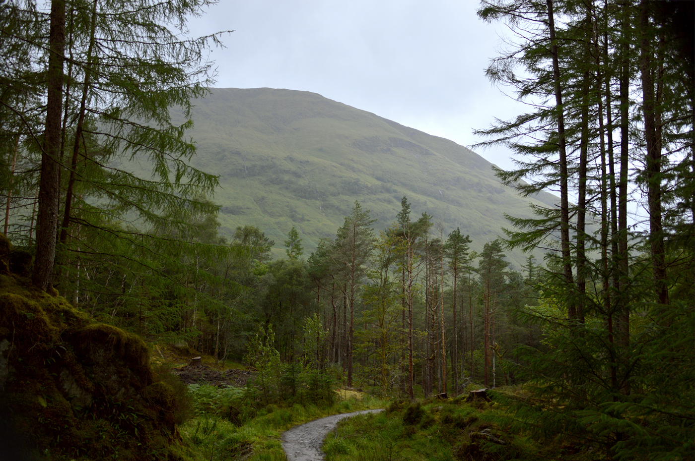 Glencoe