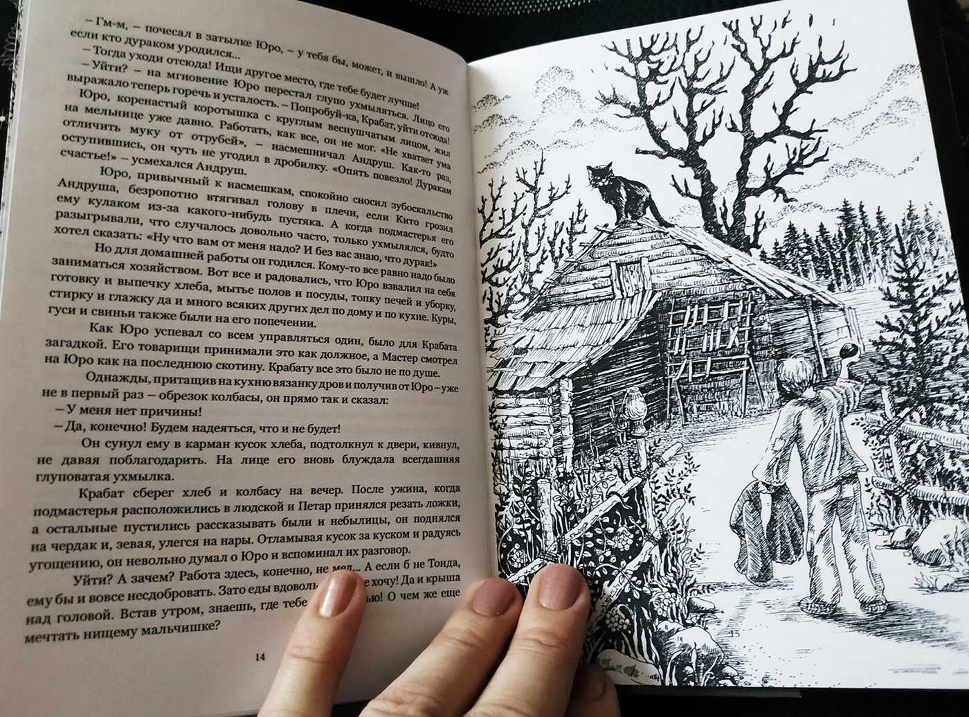 Книжная иллюстрация проект