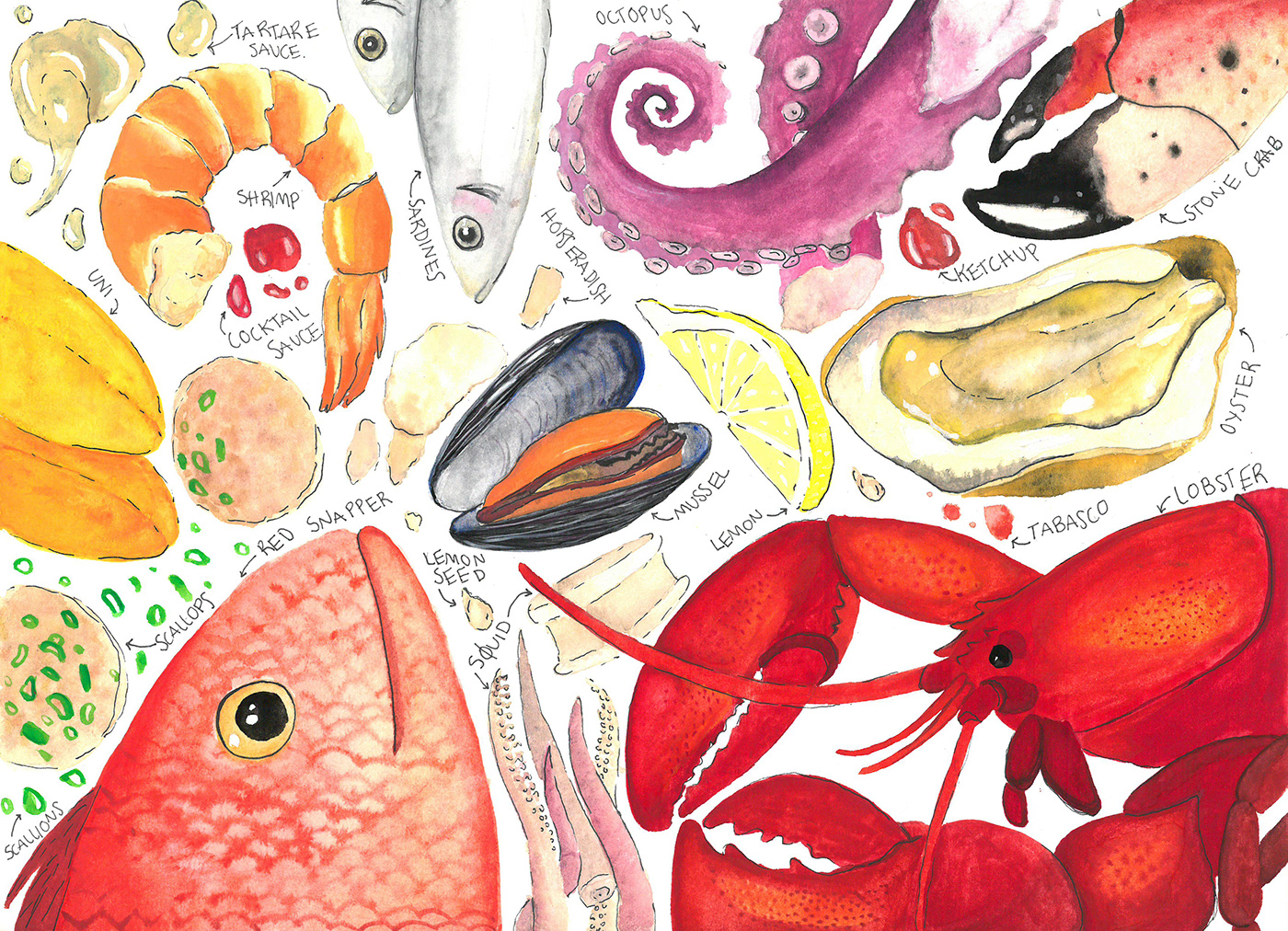 Food Vocabulary Seafood