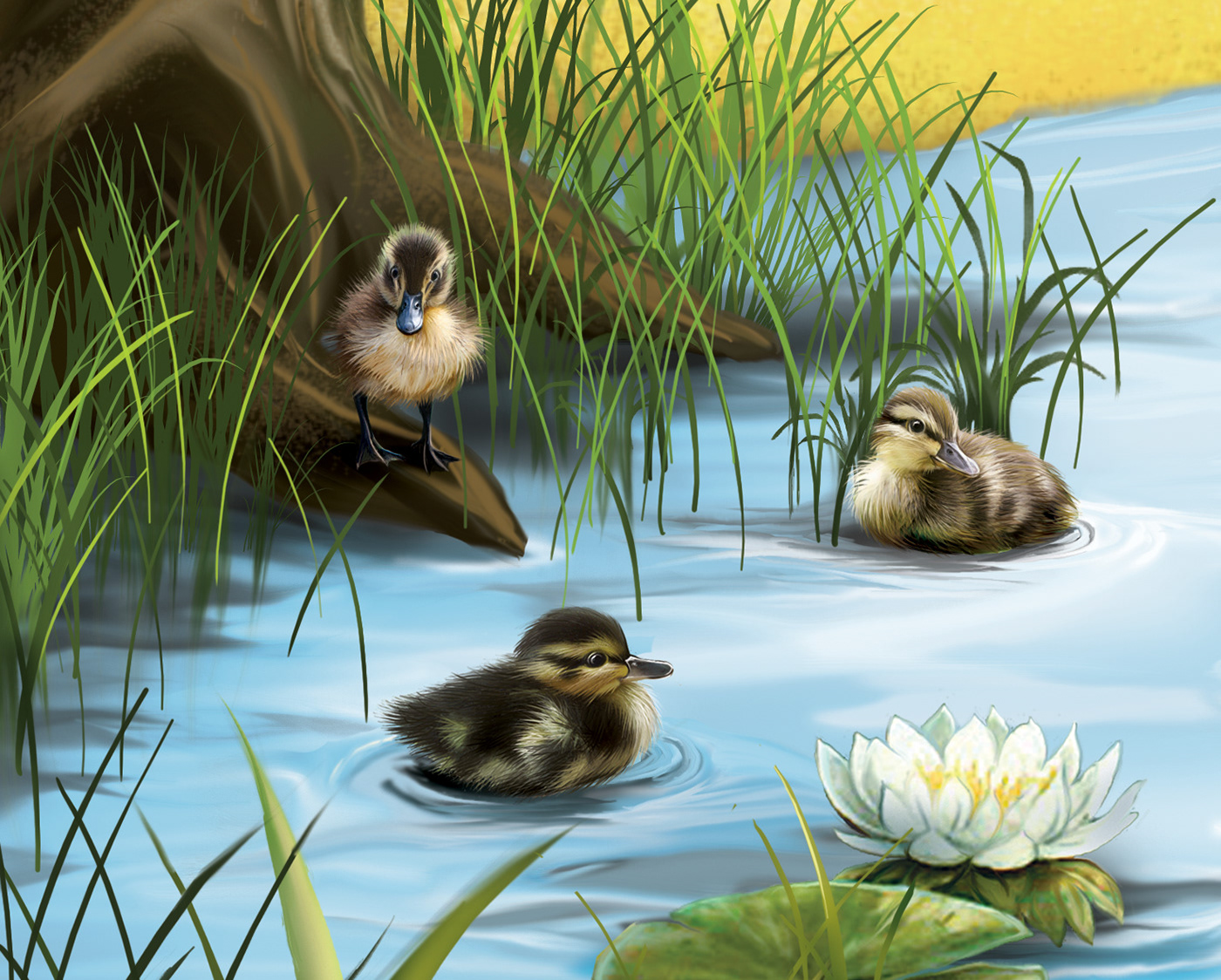 Картина утки на пруду