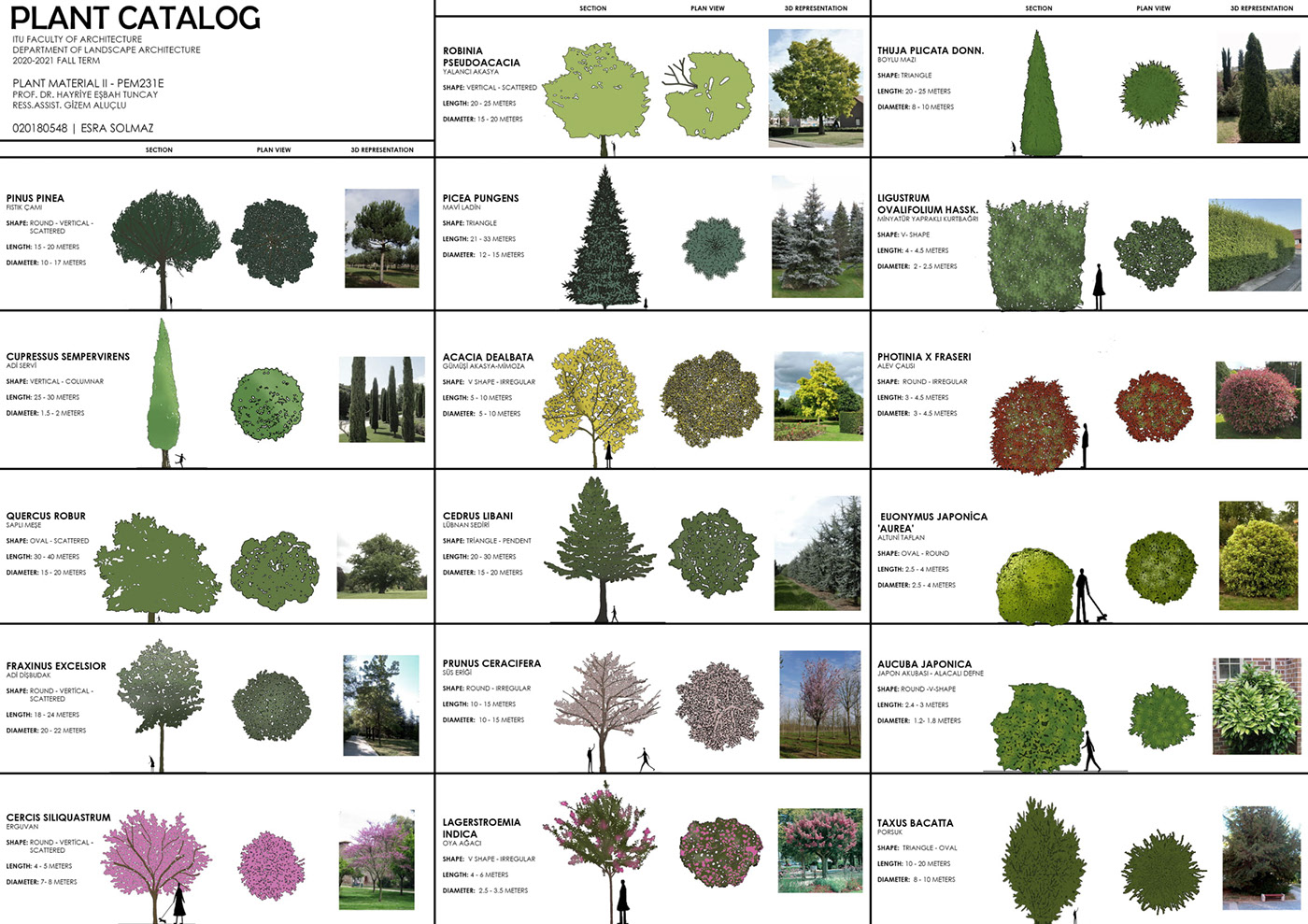 Плант каталог. Catalogue of Plants. Каталог растений. Architecture catalogue. Catalogue about Plants.