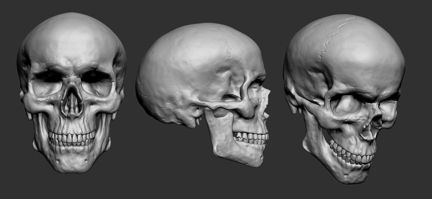 РЎРєРµР»РµС‚ Zbrush