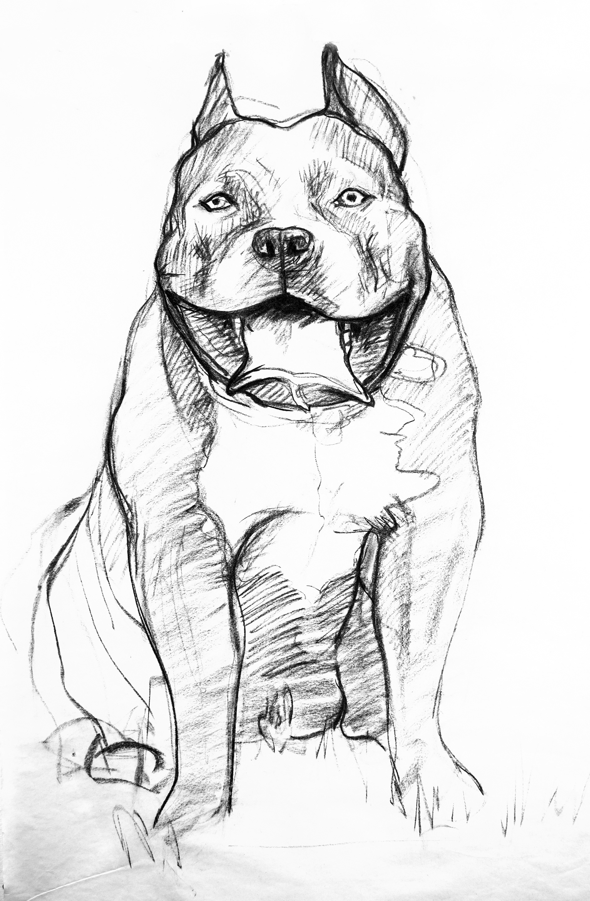 Собака в одежде рисунок карандашом