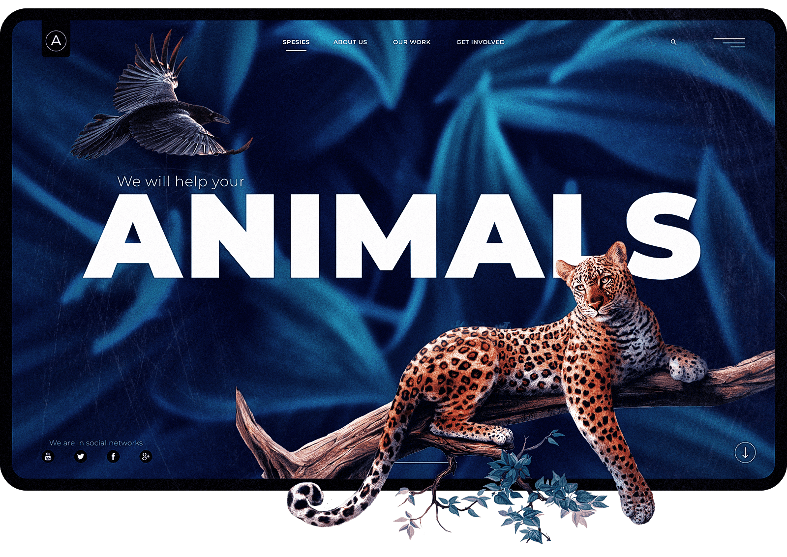 Animals сайт. Энимал эйд.