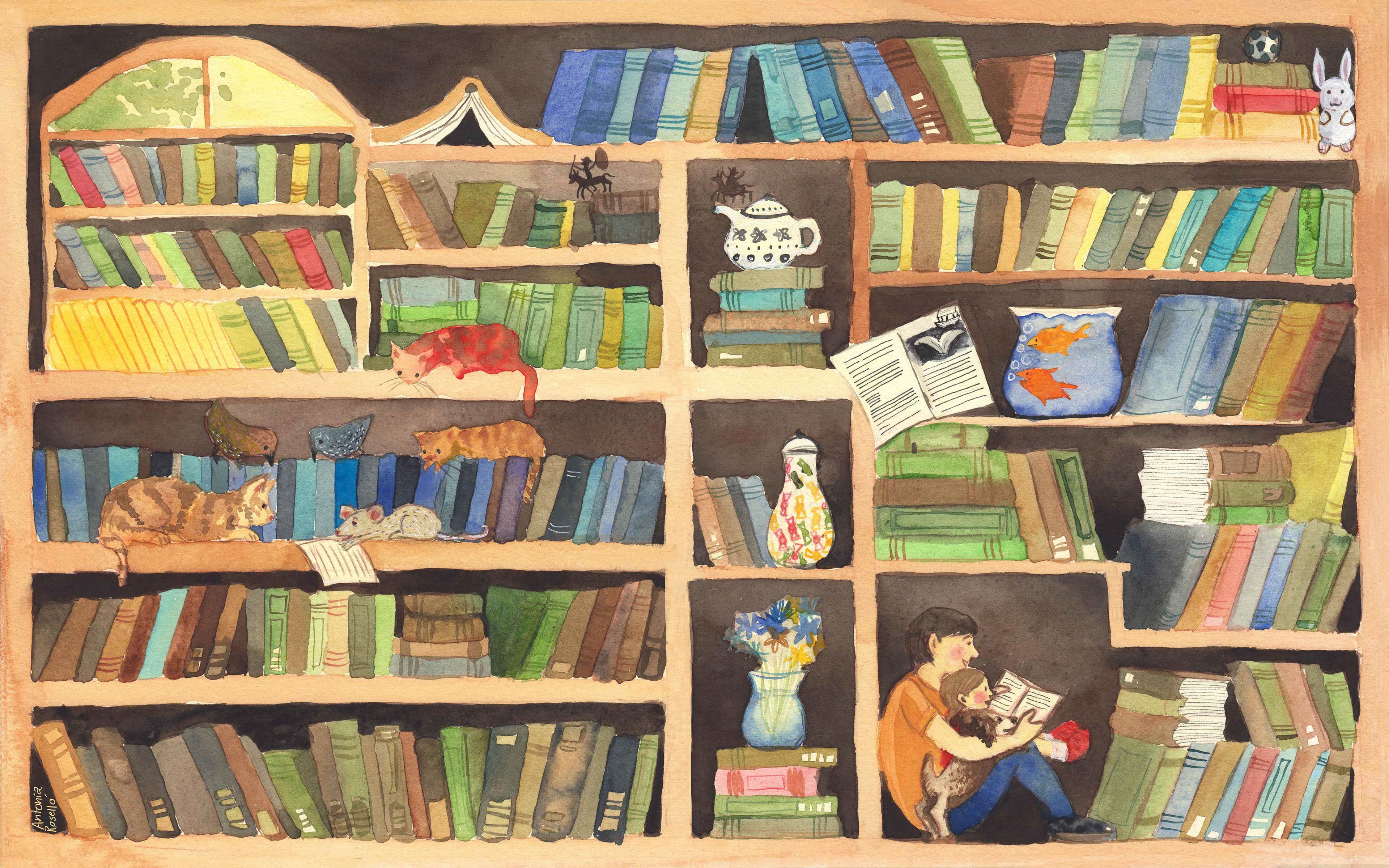 Библиотека литературный мир. Сказочная библиотека. Библиотека рисунок. Полка для книг. Библиотека картинки для детей.