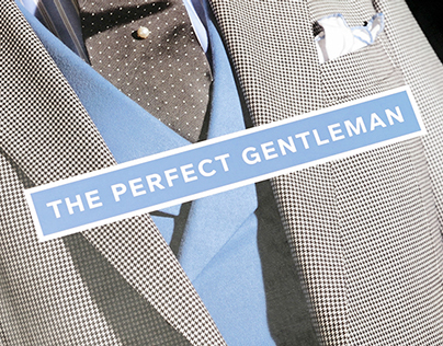 The Perfect Gentleman