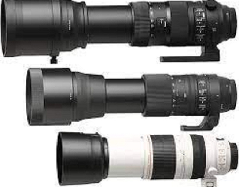 Sigma contemporary canon. Sigma 150-600. Sigma 150-600 Sport. Sigma 150-600mm. Sigma 150-600 Contemporary Canon.